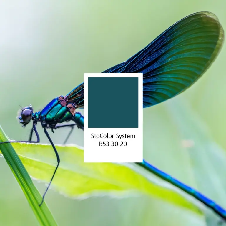 StoColor B53 30 20
