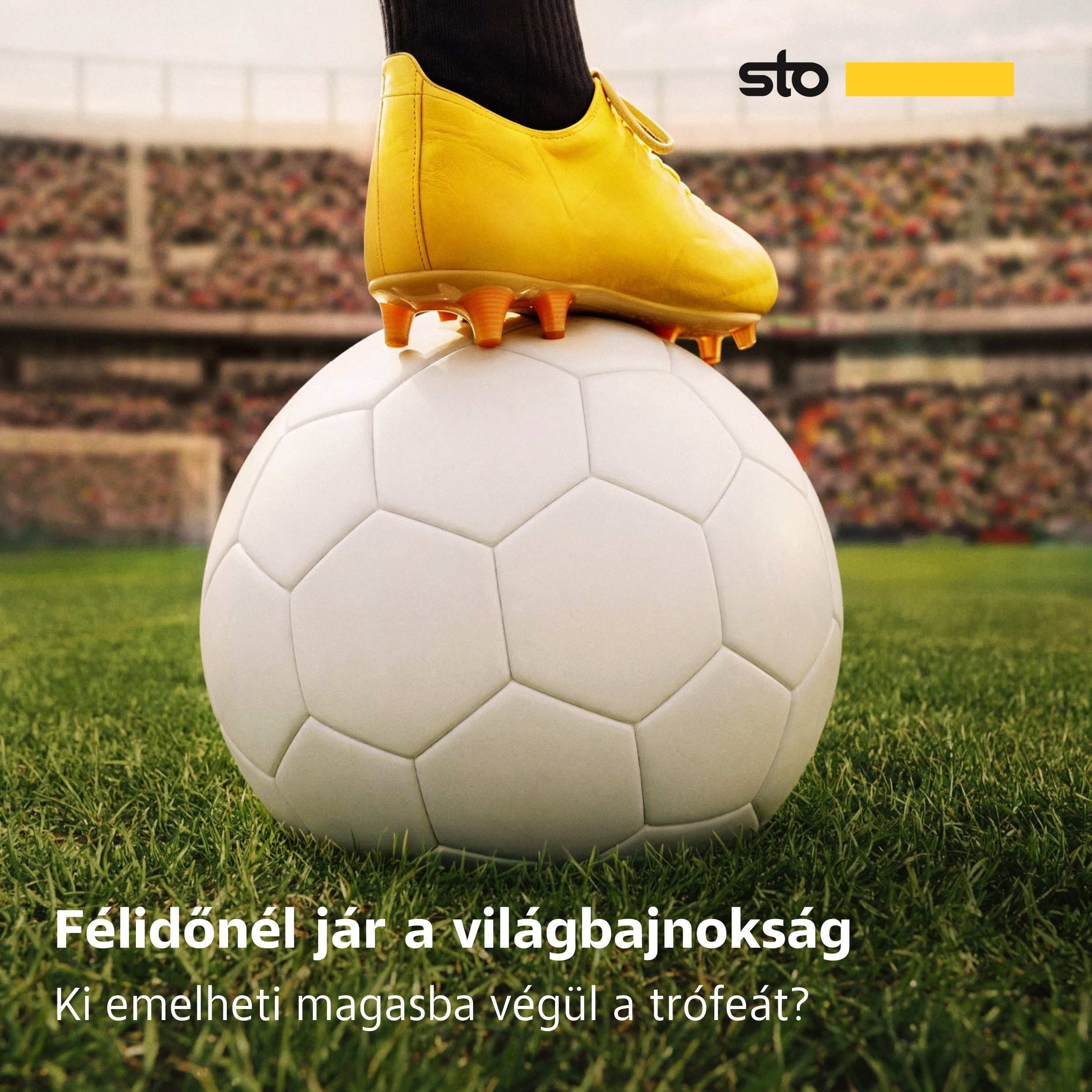 FIFA VB 2026