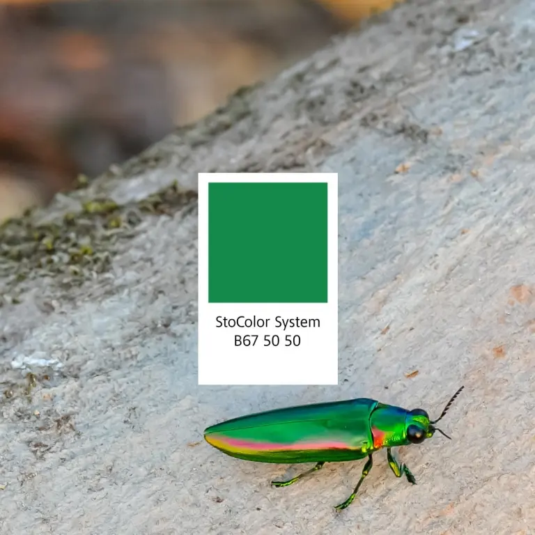 StoColor B67-50-50