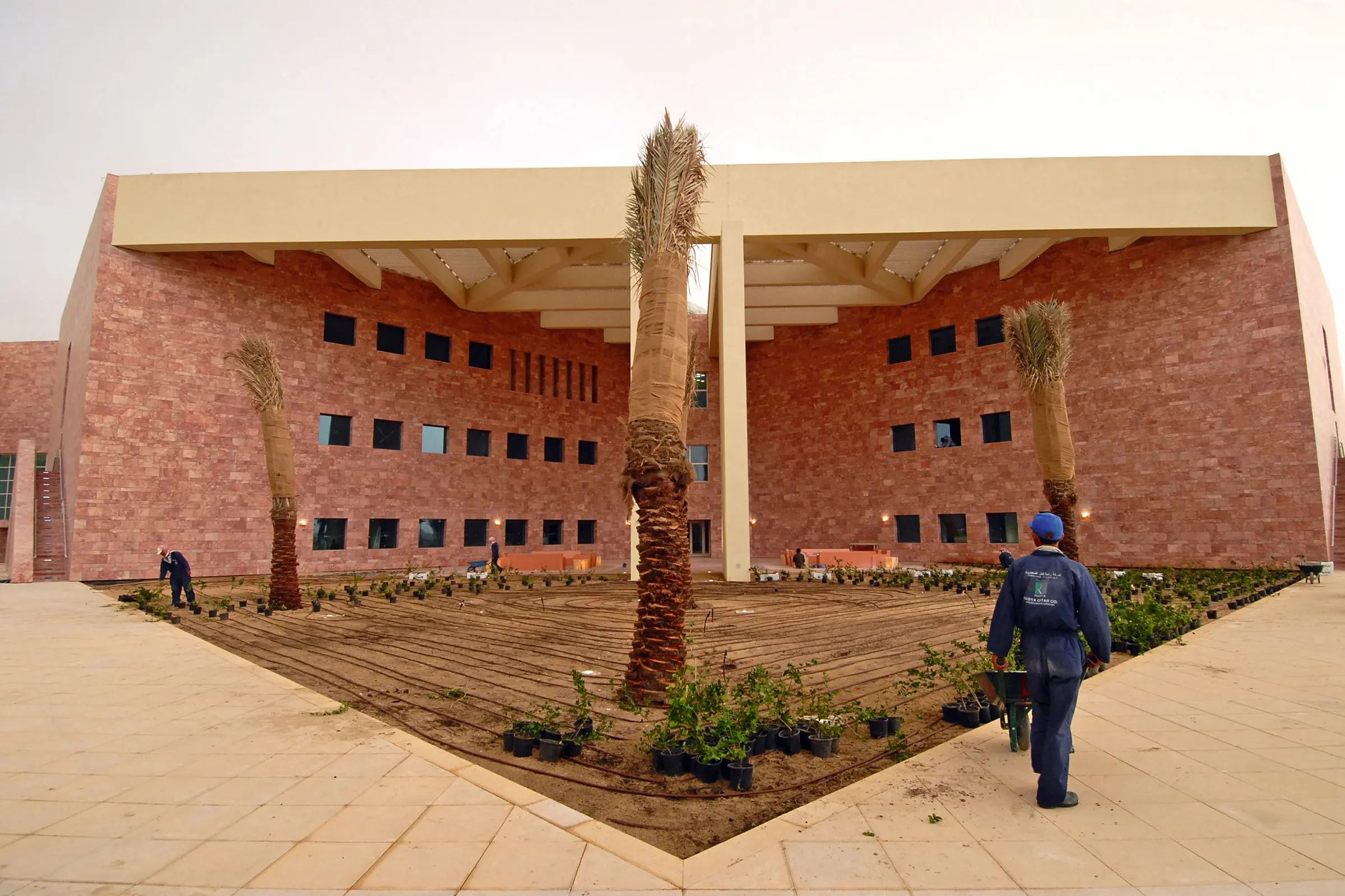 texas_a___m_university__doha__qa_02