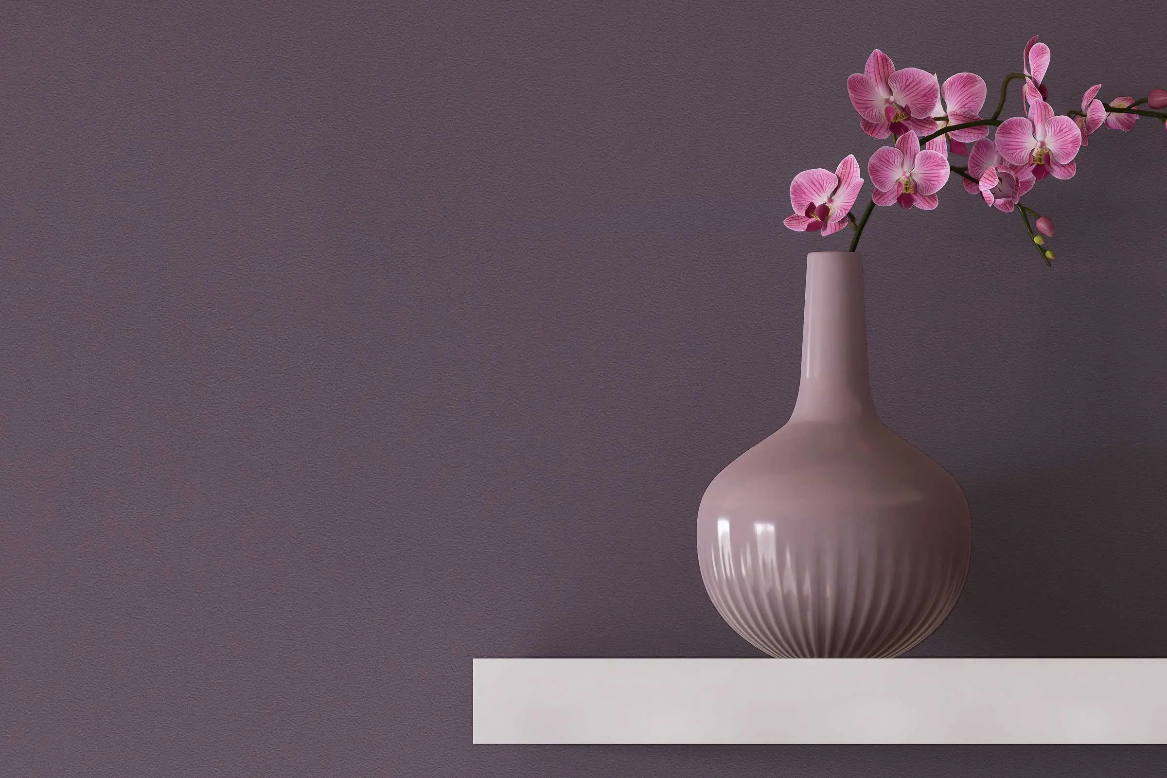 interior_colors_24plus_detail_schlafen1_wandregal_mit_vase_wand_aubergine_farbton_2400x1600px