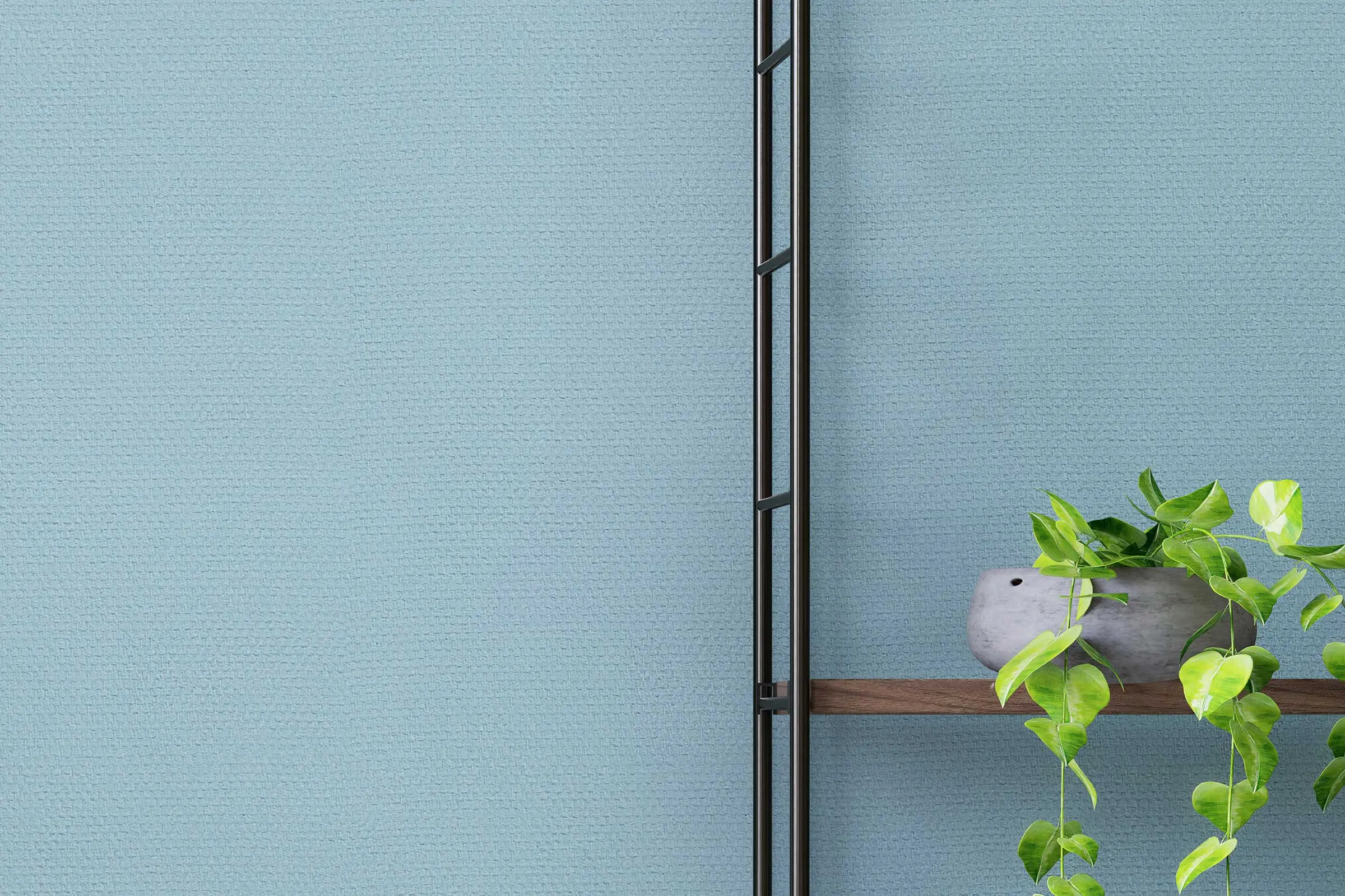 interior_colors_24plus_detail_wohnen2_wandregal_mit_pflanze_blaue_wand_glasdekogewebe_2400x1600px