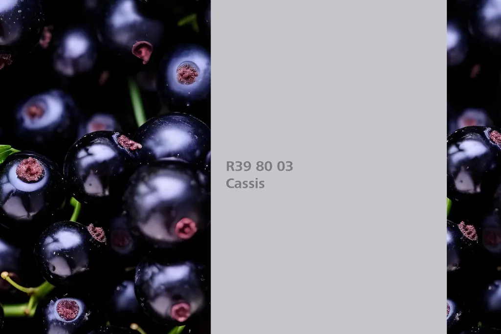 Feketeribizli árnyalat, festőnövény: feketeribizli, Beltéri Színek 24+ kollekció