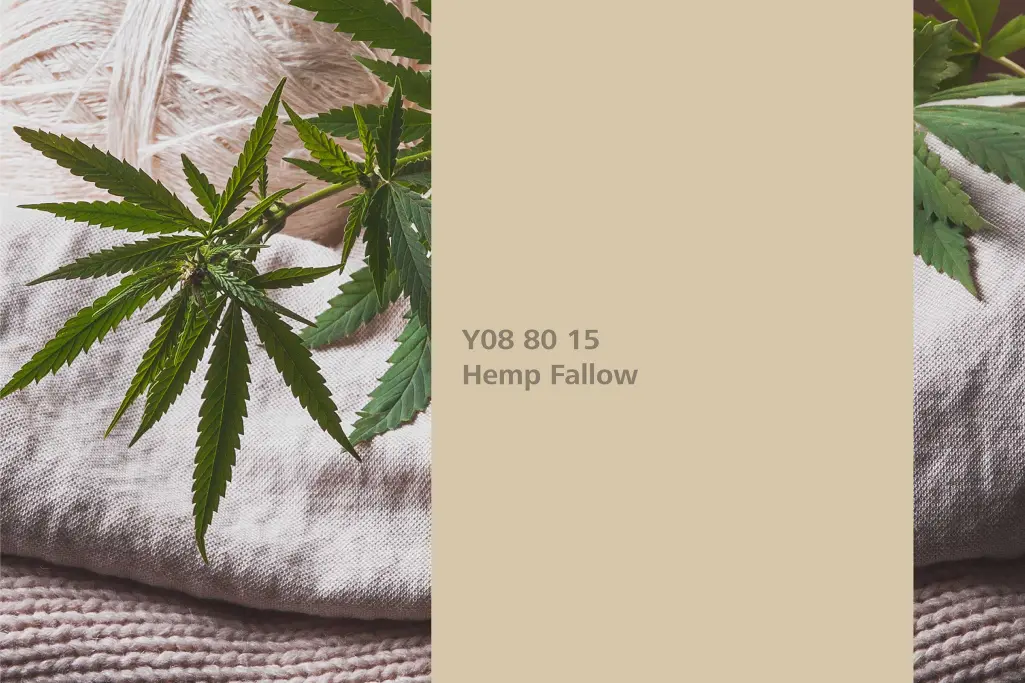 Kenderbarna árnyalat, asszociáció: kender, természetes árnyalat a Beltéri Színek 24+ kollekcióból