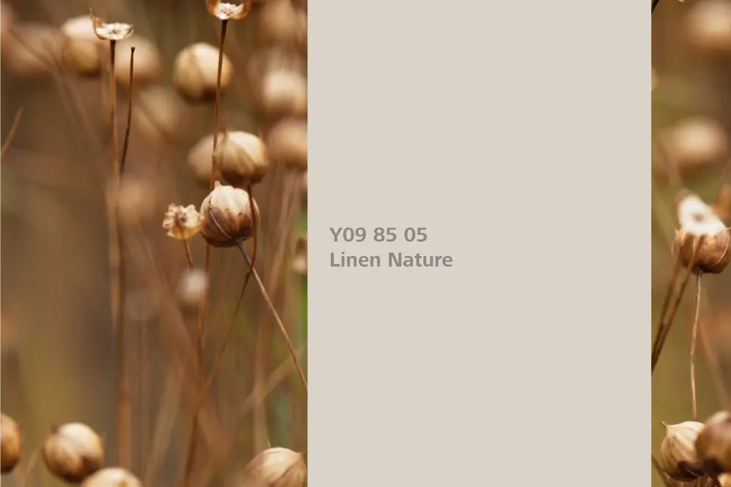 Lenvászon Natur árnyalat, asszociáció: len, természetes árnyalat a Beltéri Színek 24+ kollekcióból