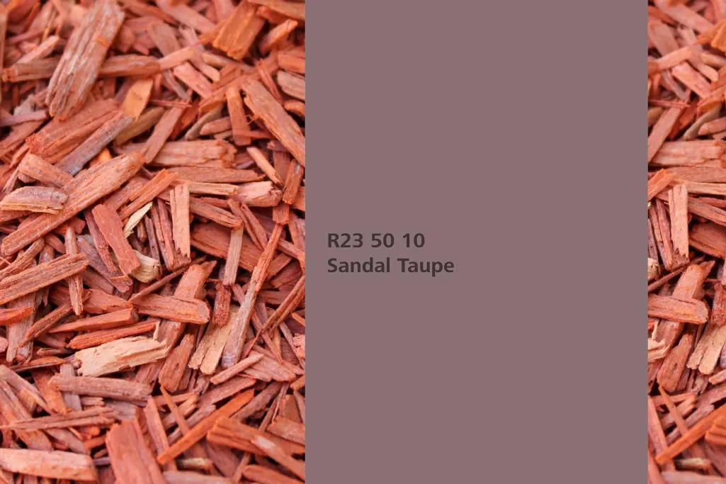 Színárnyalat Szantál Szürkésbarna, festőnövény szantálfa, Beltéri Színek 24+ kollekció