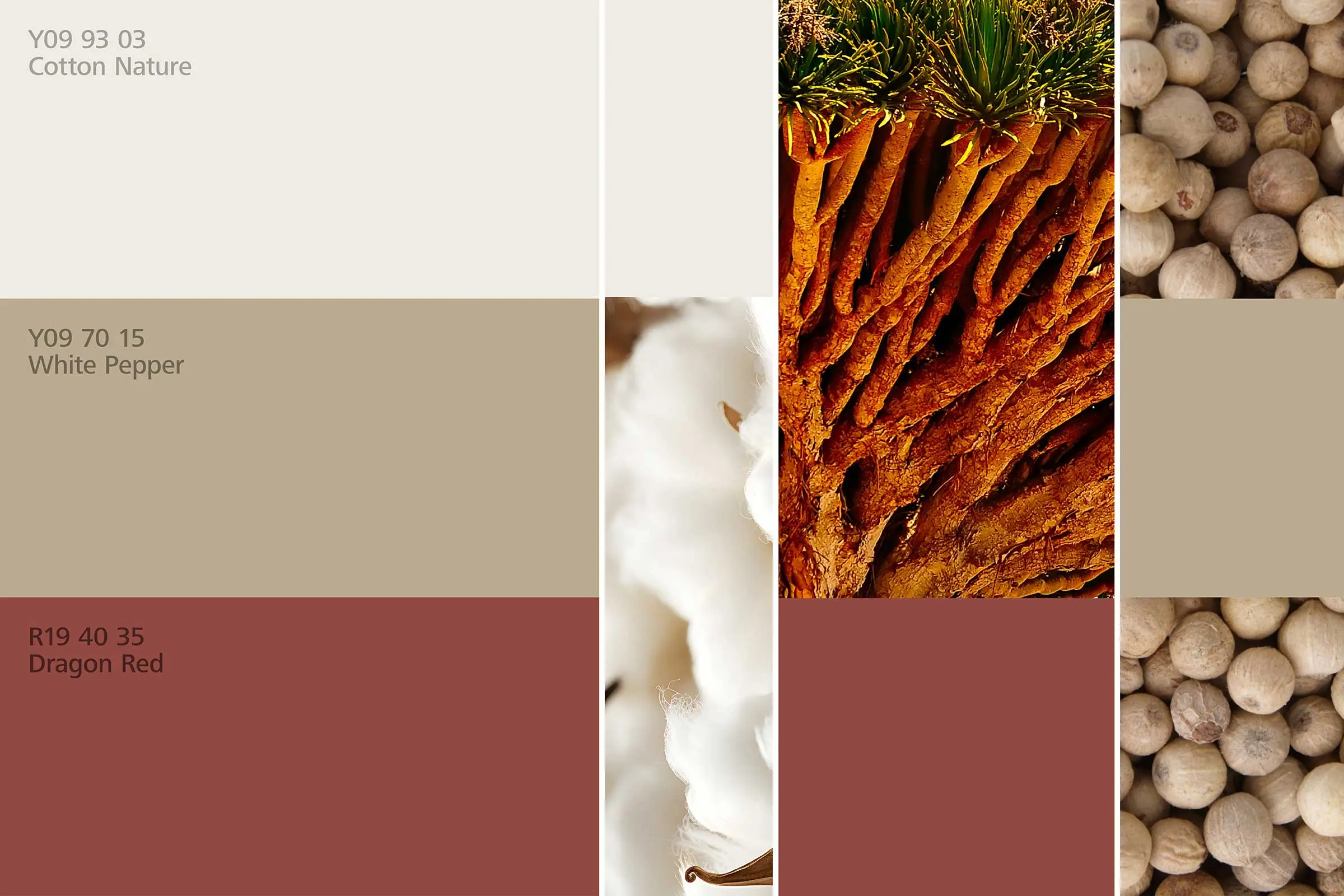 interior_colors_24plus_raumharmonie_klang_essen1_2400x1600px