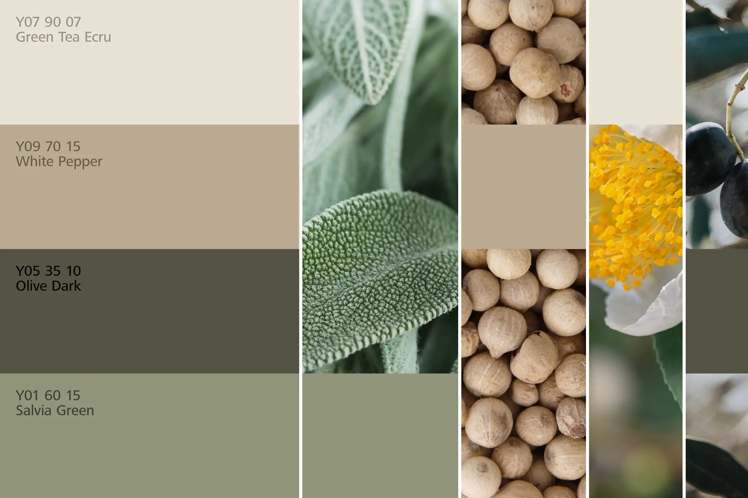 interior_colors_24plus_raumharmonie_klang_essen2_2400x1600px