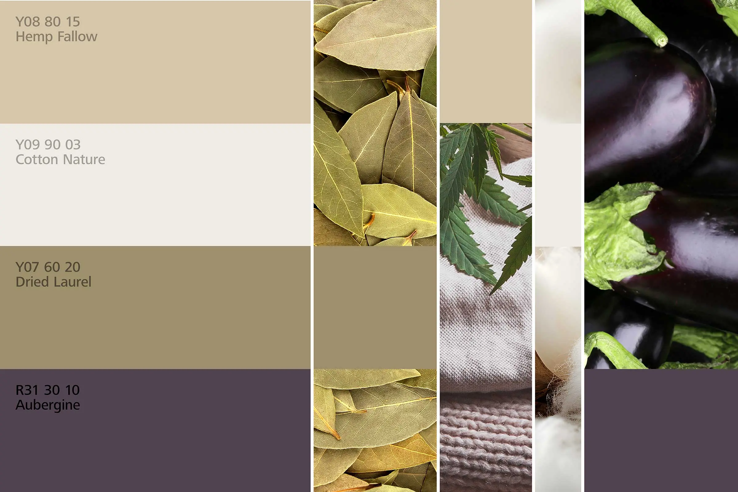 interior_colors_24plus_raumharmonie_klang_schlafen1_2400x1600px