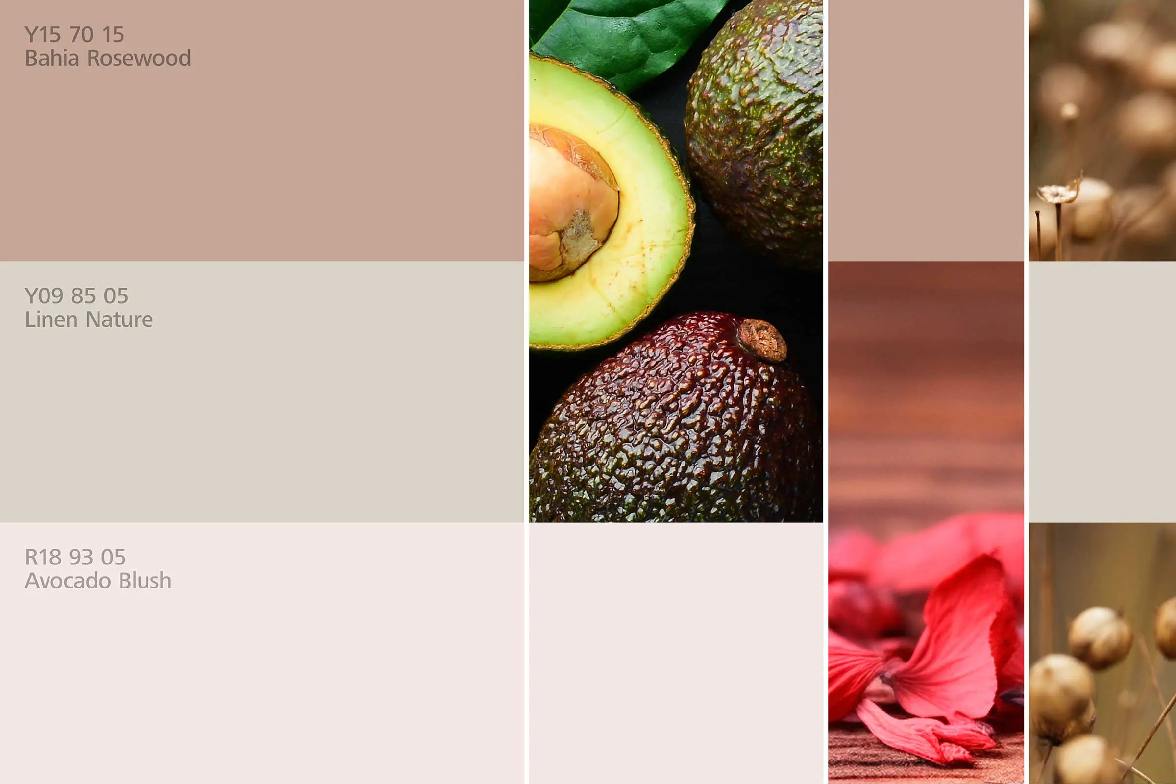 interior_colors_24plus_raumharmonie_klang_schlafen3_2400x1600px