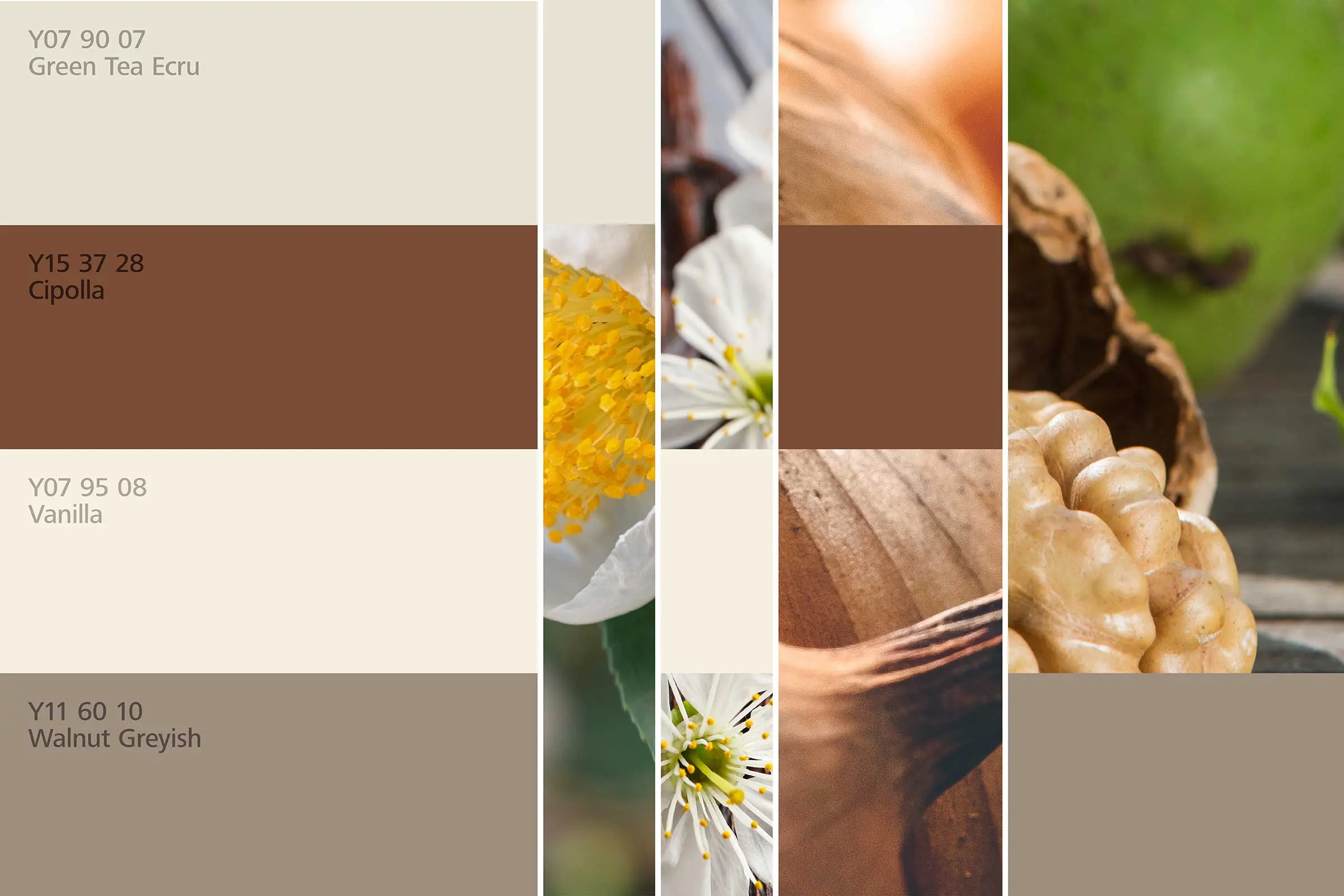 interior_colors_24plus_raumharmonie_klang_wohnen1_2400x1600px_1