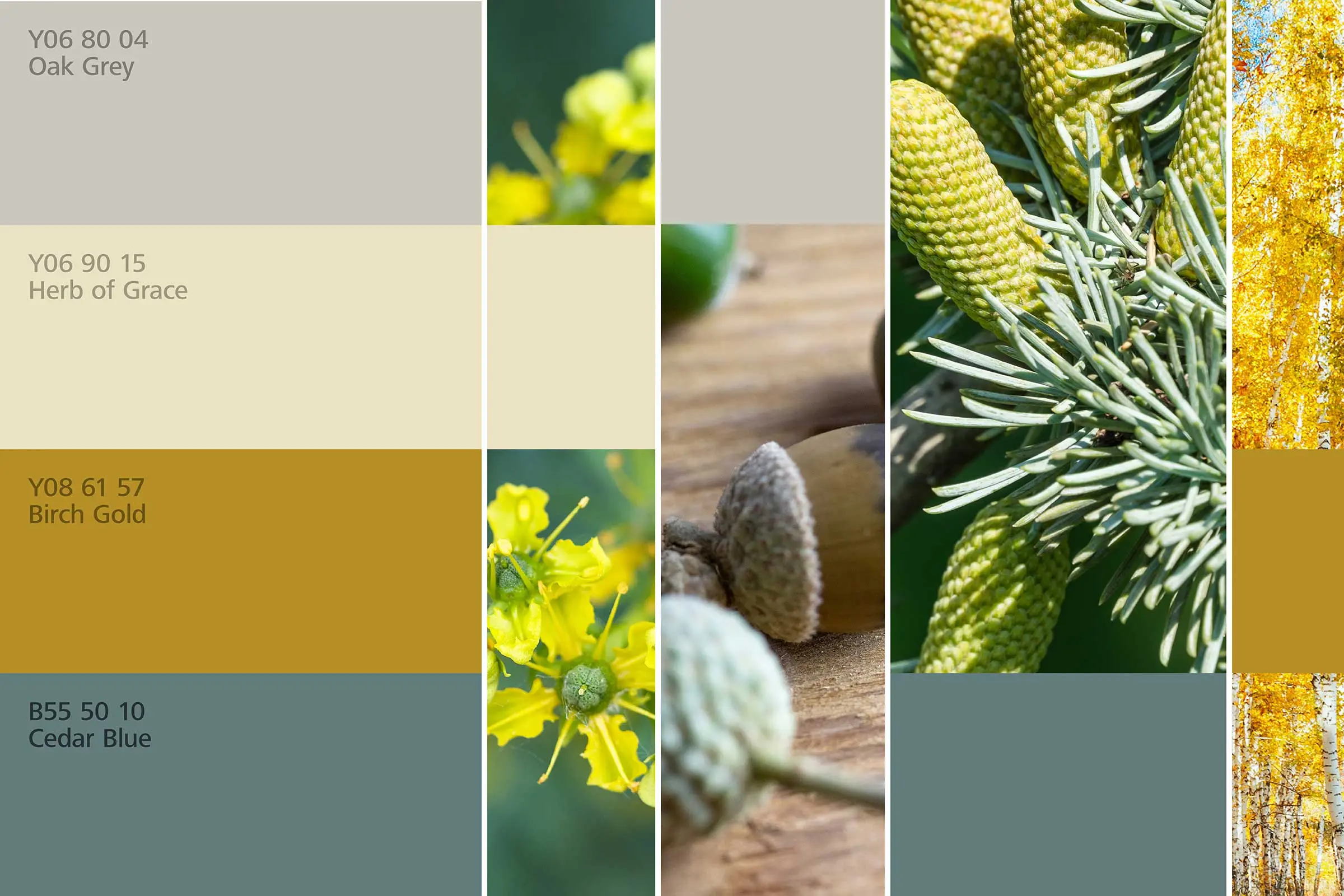 interior_colors_24plus_raumharmonie_klang_wohnen2_2400x1600px