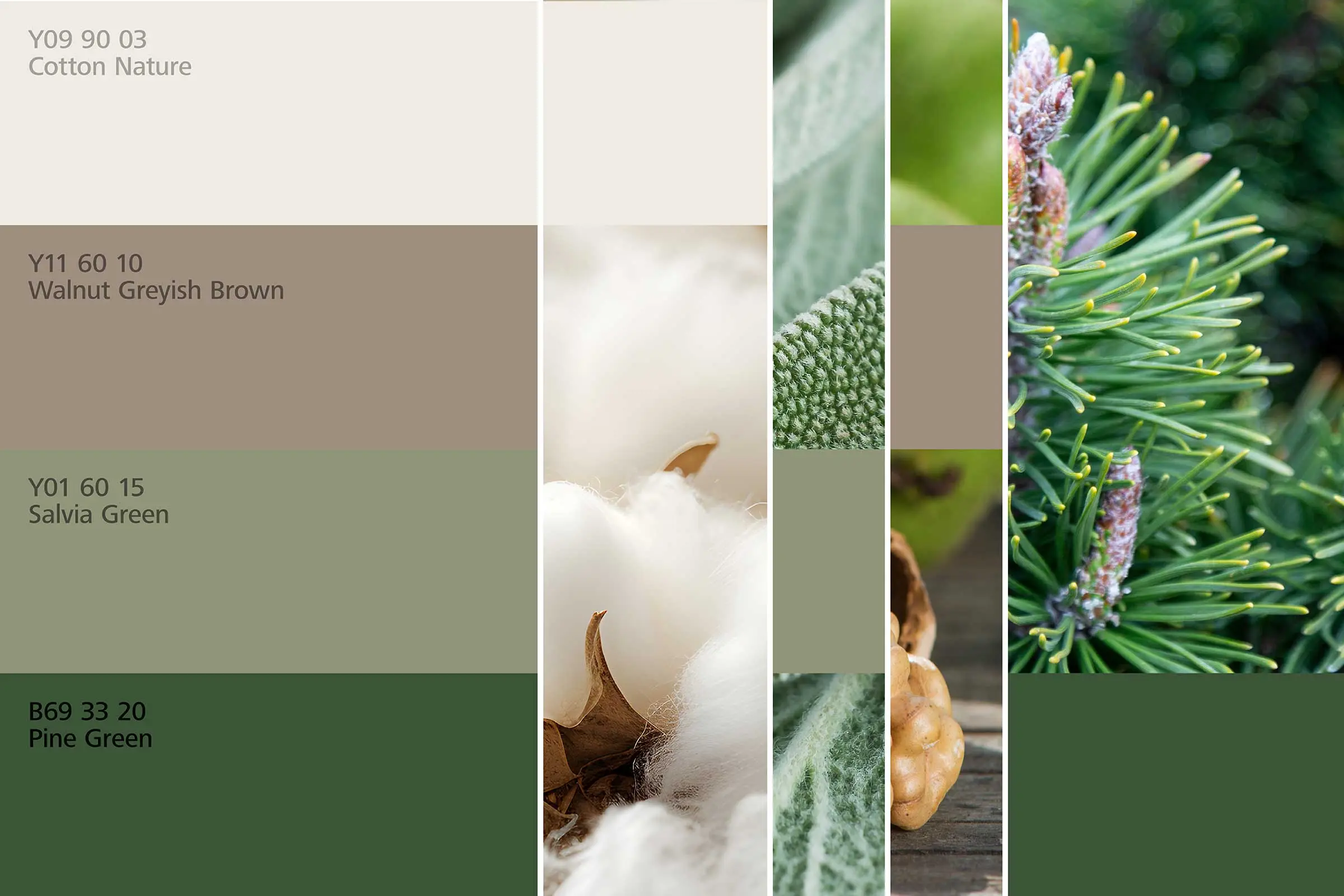 interior_colors_24plus_raumharmonie_klang_wohnen3_2400x1600px